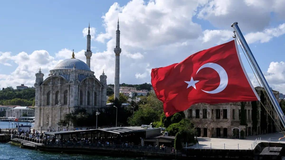 Untitled design 2023 11 17T213144.620