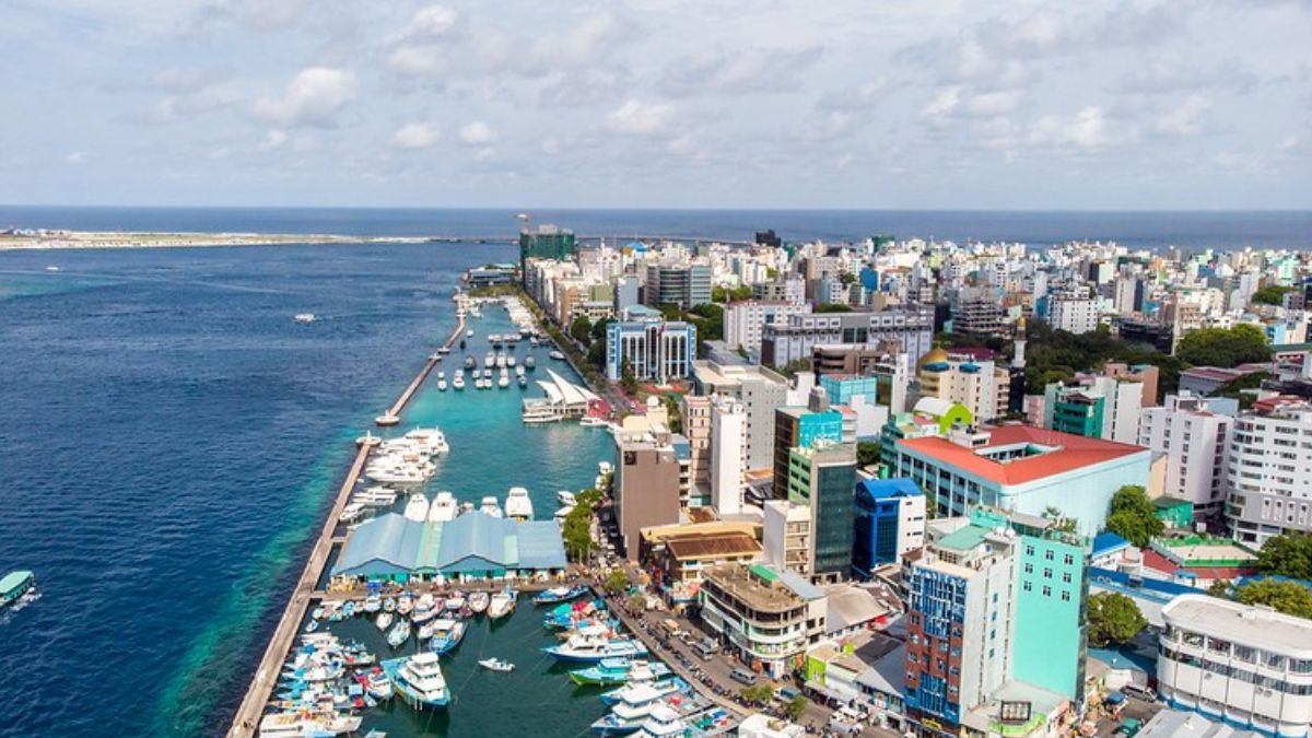 Untitled design 2023 11 22T191409.426