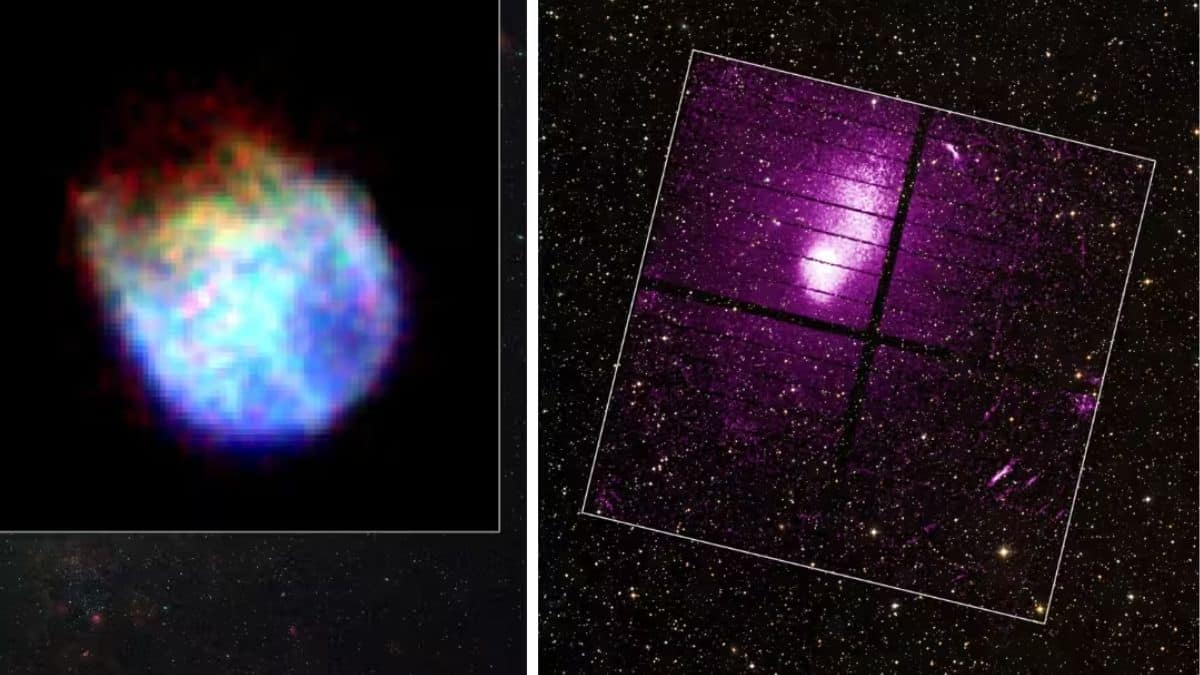 Untitled design 2024 01 07T221105.086