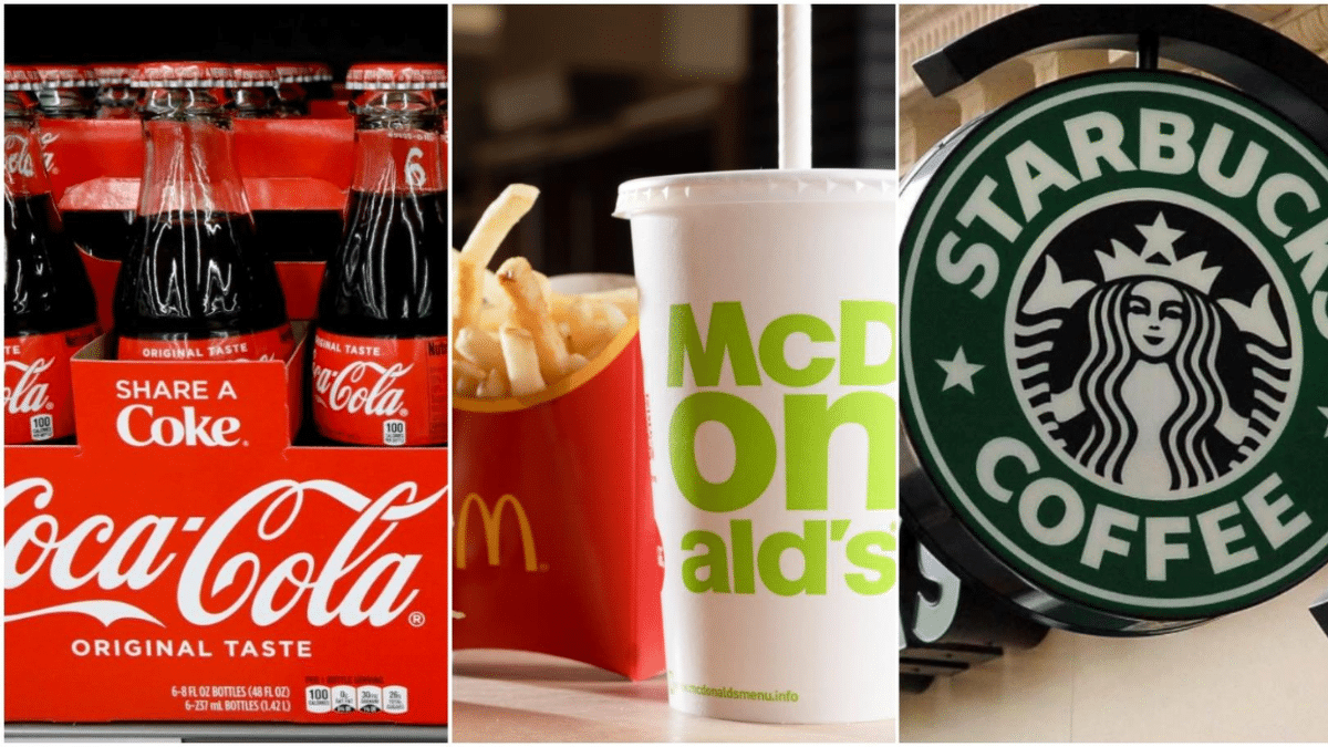 Adaptation Battle 16