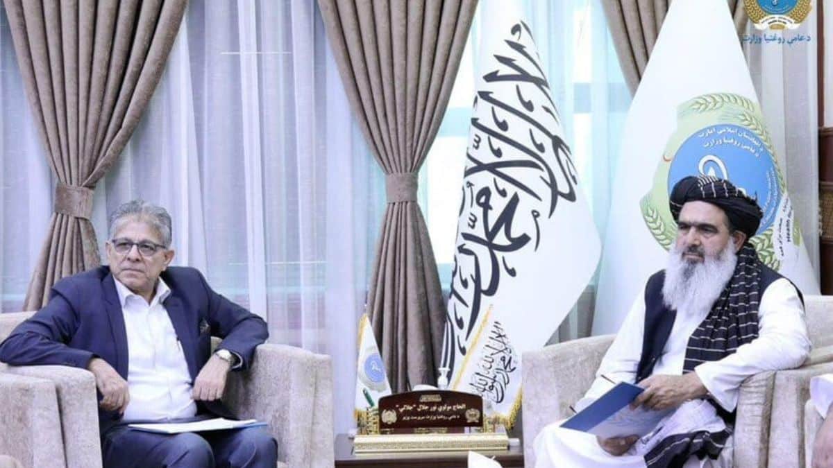 Untitled design 20240729 185026 0000