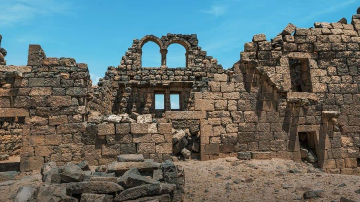 Untitled design 20240729 211624 0000