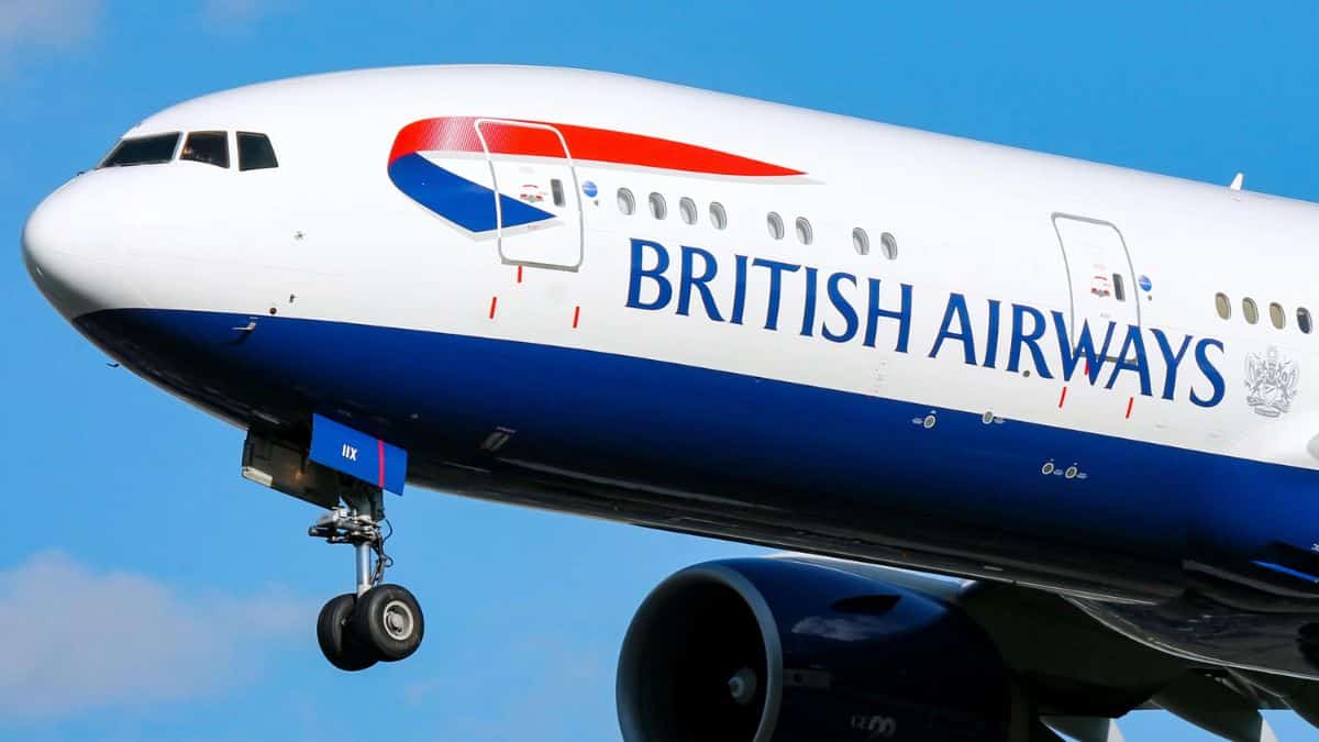 Untitled design 2024 08 08T193627.878