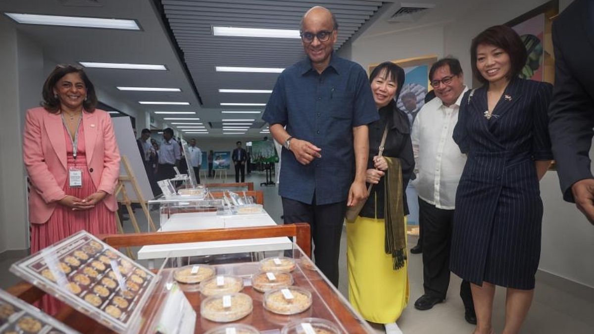 Untitled design 8 11