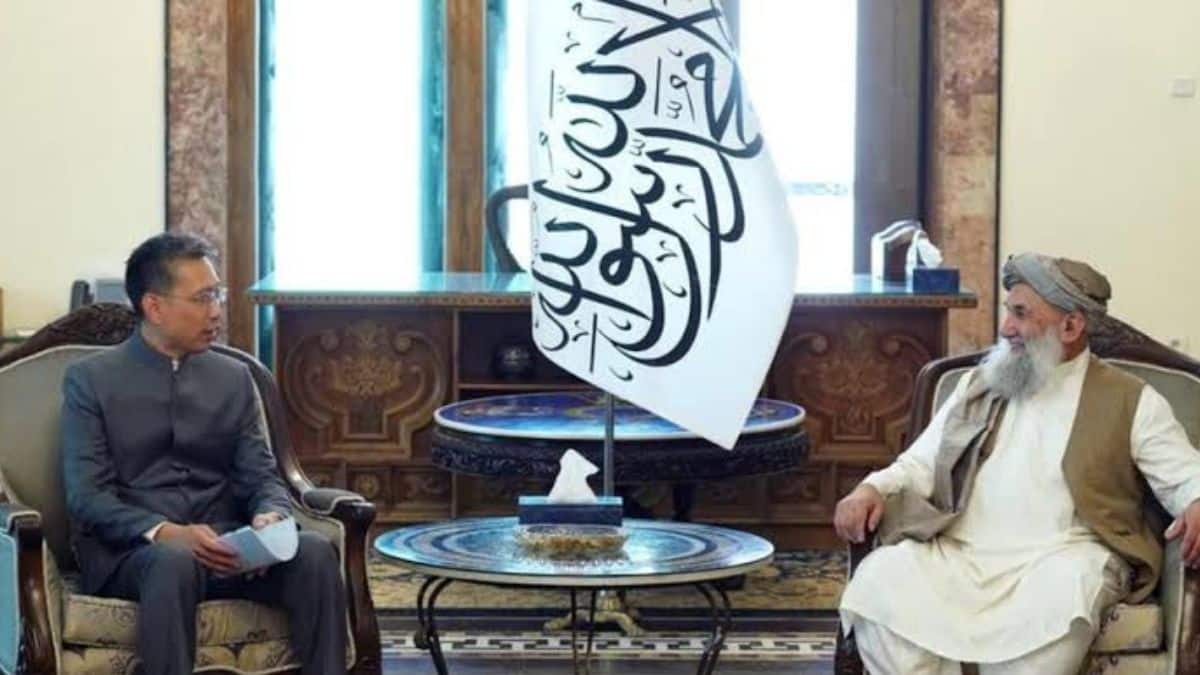 Untitled design 20240802 163209 0000 1