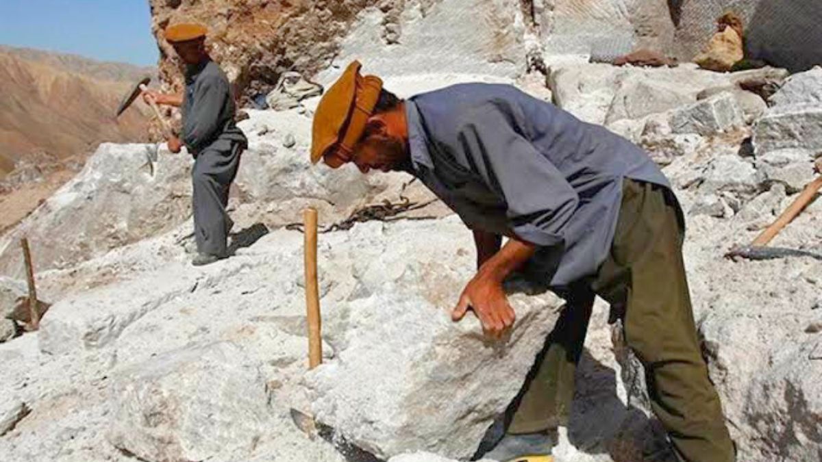 Untitled design 20240820 195541 0000