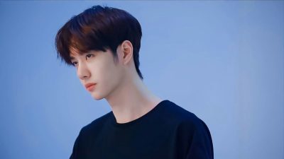 Wang Yibo’s net worth insights: Actor and dancer’s achievements