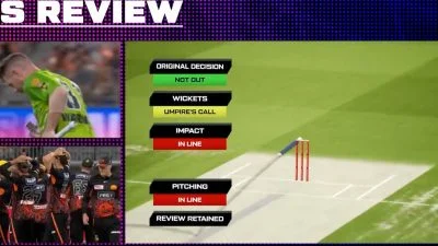 BBL: David Warner walks halfway to pavilion, DRS overturns decision in hilarious moment