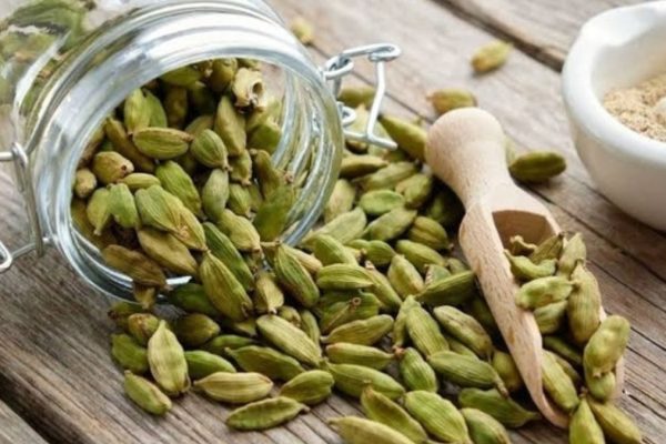 Why is cardamom so expensive?