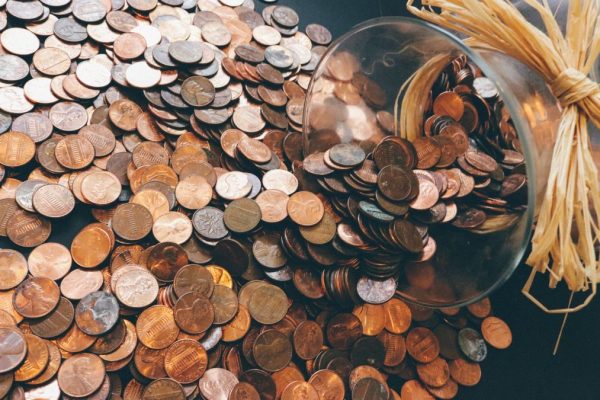 low budgeting trend viral