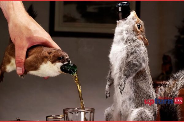 BrewDog's The End of History Beer liquor