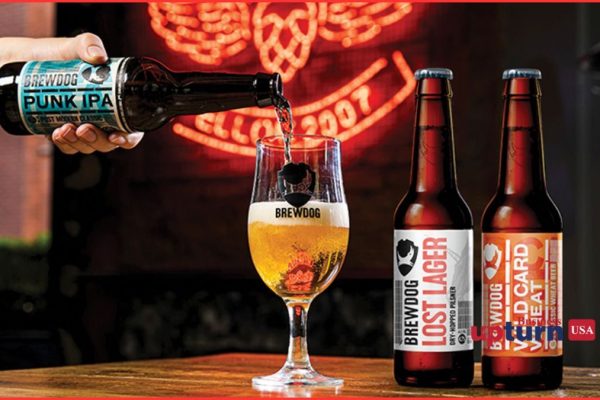 BrewDog Business Model Beer Liquor
