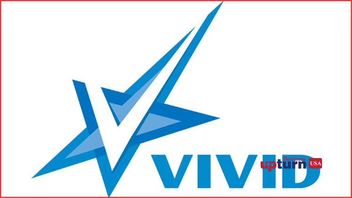 Vivid Entertainment Adult Movies porn business model