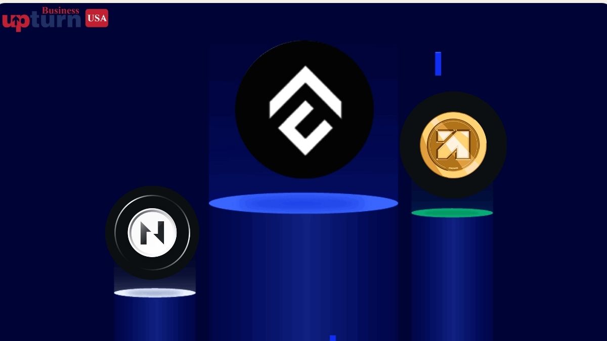 Top Crypto losers in the last 24 hour: CFX falls 17% as ANIME, CKB, and XTZ lead today’s top Crypto losers chart