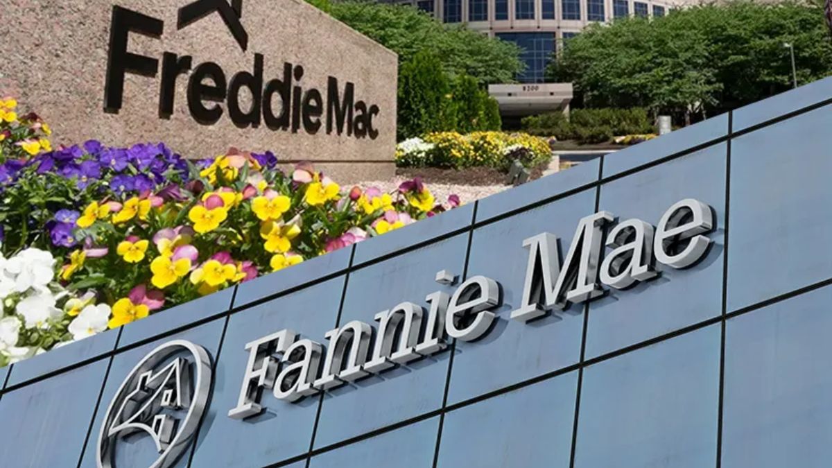 Freddie Mac - Fannie Mae