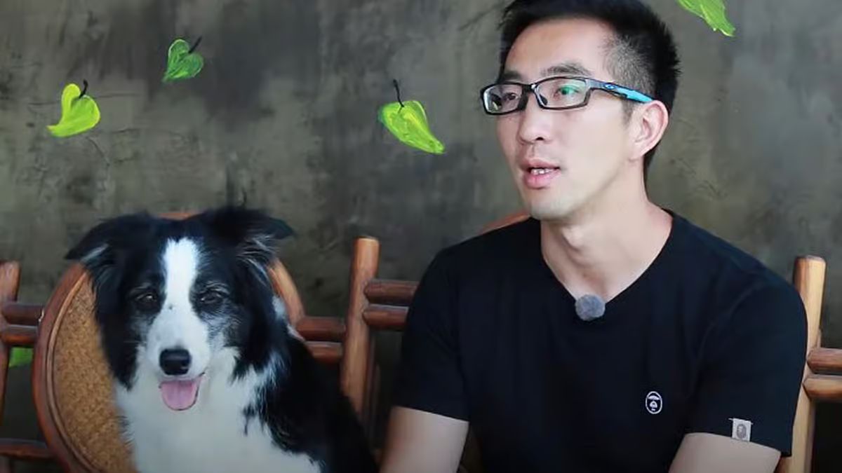 Chinese programmer quits high-paying job to train therapy dogs