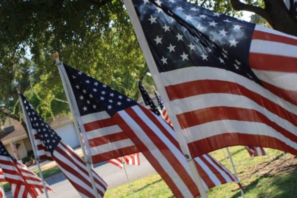 Veterans Day holiday in the US: What’s open and what’s closed?