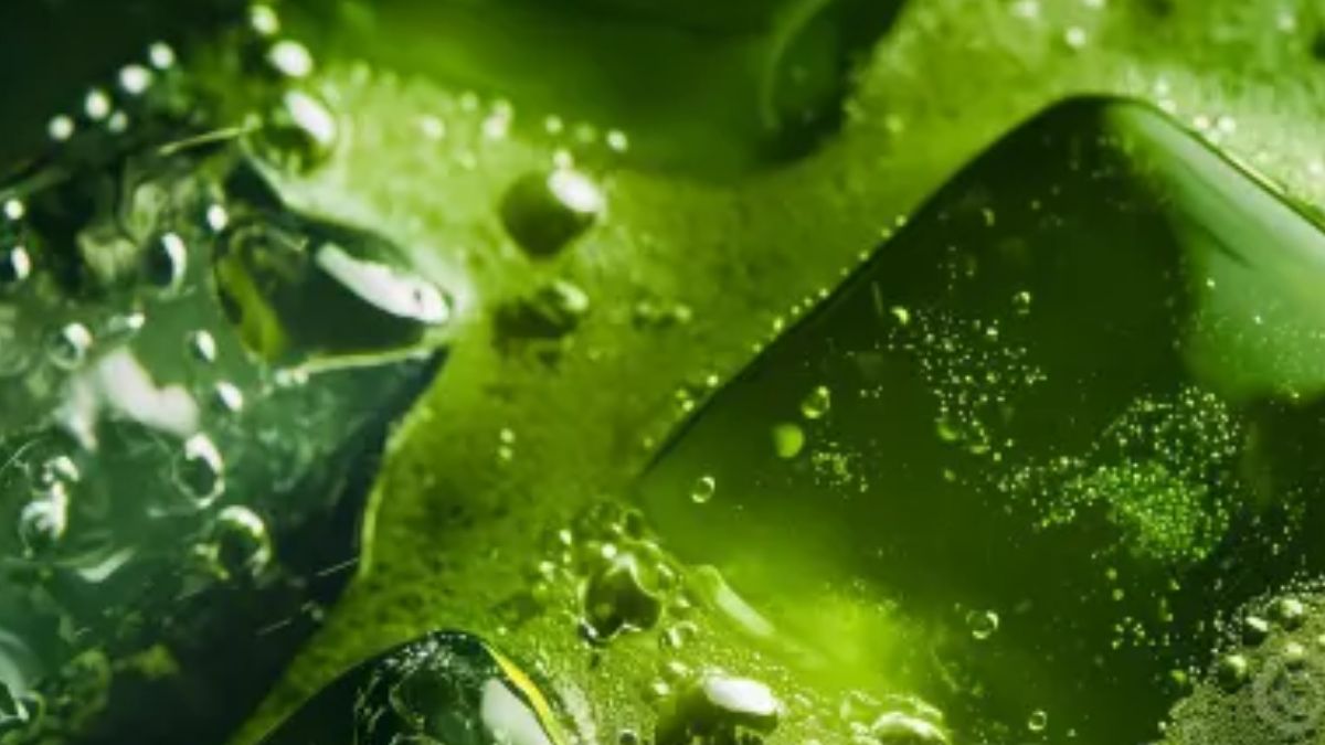 Adding Vitamin E or Aloe to Green Tea Ice Cubes for Extra Benefits