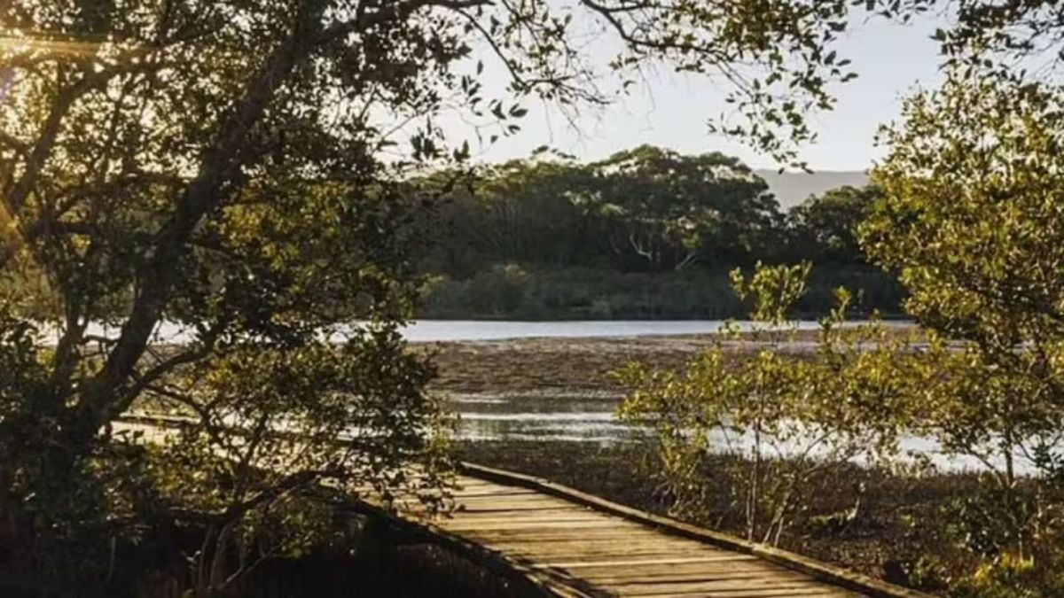 US to charge foreign tourists more at top national parks