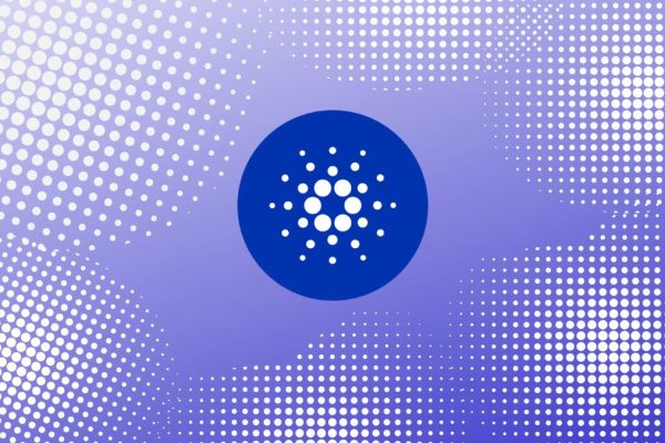 Cardano recovers slightly after a scary network split