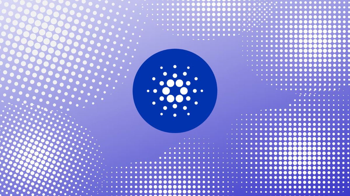 Cardano recovers slightly after a scary network split