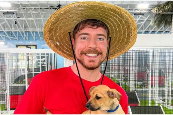 Why this could resonate with MrBeast's audience