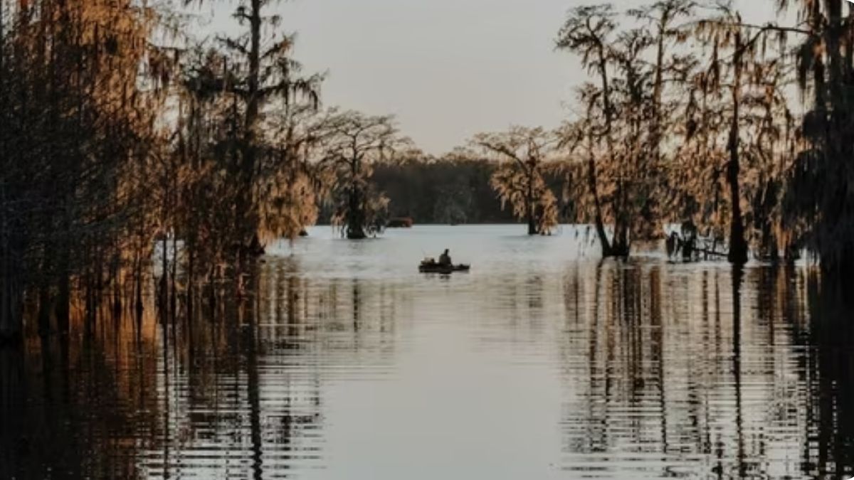 Rumors of a serial killer in Texas resurface amid Buffalo Bayou deaths