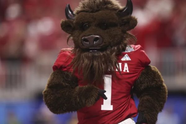 Why Indiana’s Mascot is a Bison