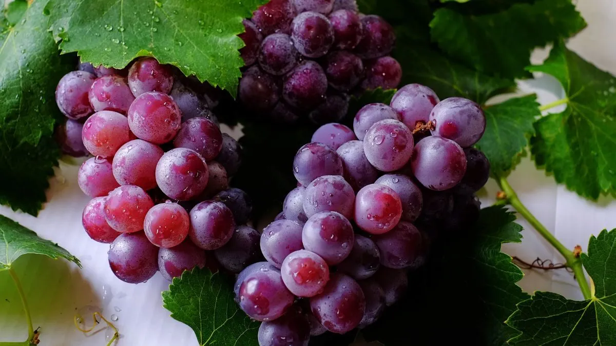 grapes