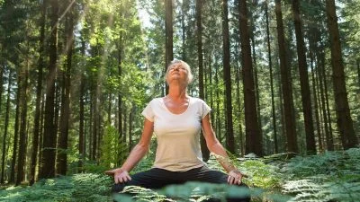 forest bathing