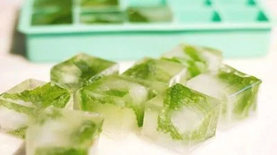 Green Tea Ice Cubes