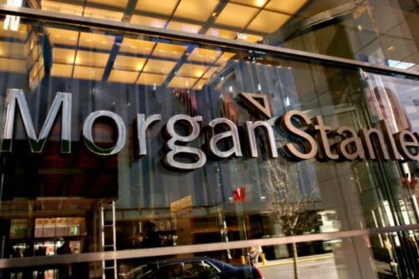 Morgan Stanley cuts its view on Elisa as growth slows