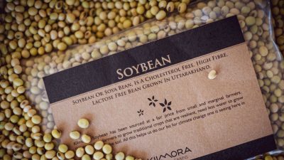 Agriculture Commodities prices today, February 20: Wheat rises 11.35% YTD as Soybeans gain 10.66% while Cocoa crashes 49.16% and Potatoes plunge 52.31%