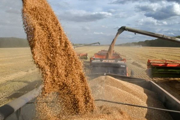 Agricultural Commodity Prices Today: Wheat up 12.69% YTD while Cocoa crashes 48.22% in 2026