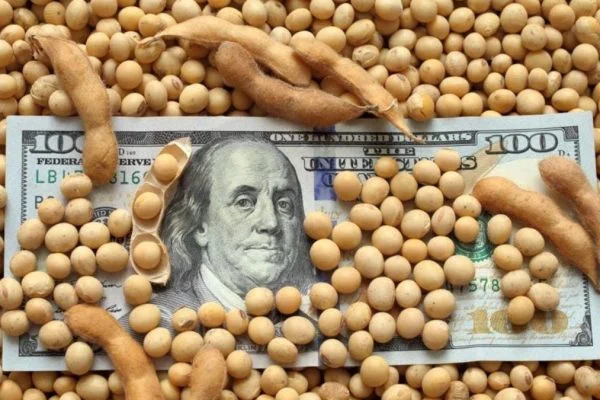 Agriculture commodities price today: Soybeans up 1.32% to 1165.22 USD as Wheat gains 1.06% and rice jumps 2.16%