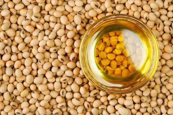 Agriculture commodities price today, March 9: Soybeans price jumps 1.24% to 1199 USD as Wheat gains 6.76% weekly in Agricultural market
