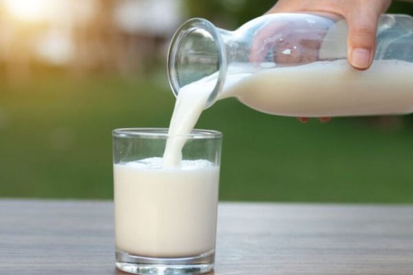 Agriculture commodities price today: Milk jumps 8.26 percent daily while palm oil gains 21.01 percent YTD
