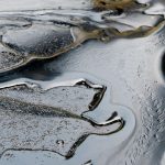 Energy prices today, April 23: Crude oil up 62.36 percent YTD while Gasoline surges 96.57 percent