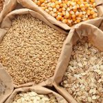 Agriculture commodities price today, April 23: Cotton jumps 23.46% YTD while wheat rises 18.89%