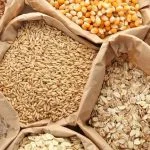 Agriculture commodities price today, April 23: Cotton jumps 23.46% YTD while wheat rises 18.89%