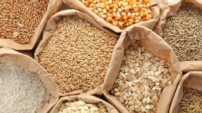 Agriculture commodities price today, April 23: Cotton jumps 23.46% YTD while wheat rises 18.89%