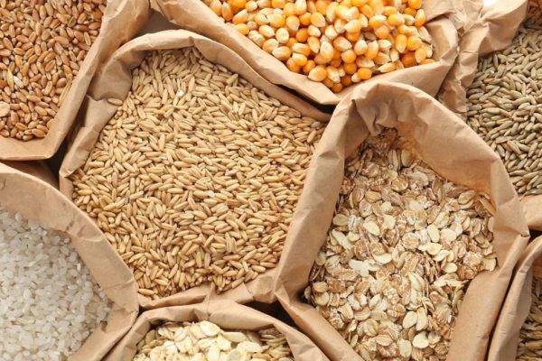 Agriculture commodities price today, April 23: Cotton jumps 23.46% YTD while wheat rises 18.89%