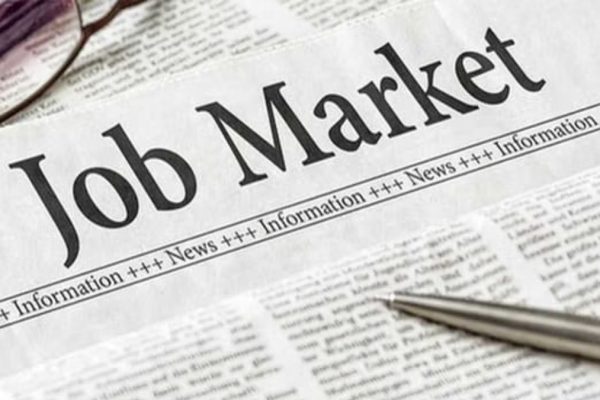 Gen Z jobs trend shifts as 63% workers now see careers as temporary not long term