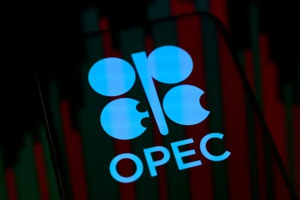 OPEC+ likely to raise oil output by 206,000 bpd as UAE excluded from quota increase plan