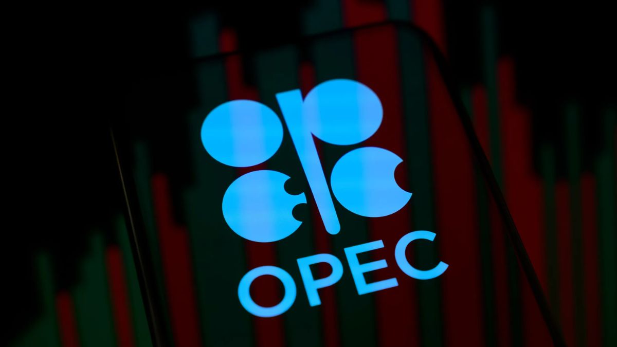 OPEC+ likely to raise oil output by 206,000 bpd as UAE excluded from quota increase plan