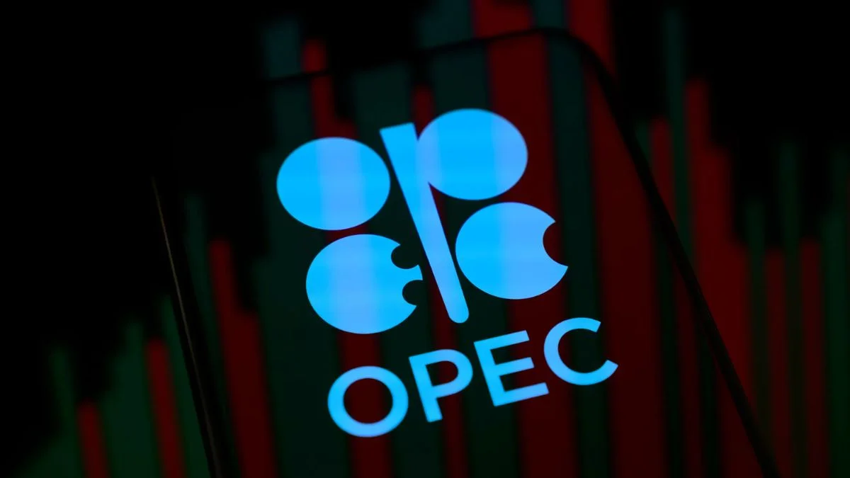 OPEC+ likely to raise oil output by 206,000 bpd as UAE excluded from quota increase plan