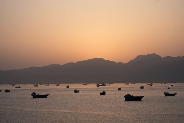 Korean vessel fire in Strait of Hormuz sparks global concern