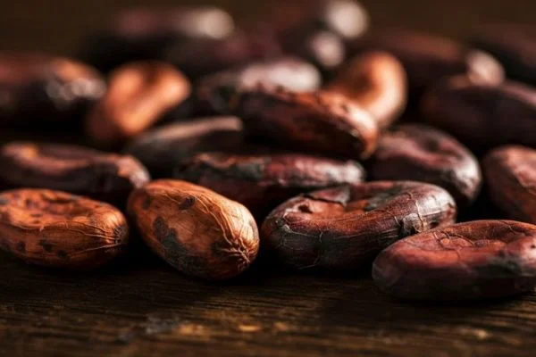 Agriculture commodities price today, May 7: Cocoa surges 34.23% monthly while Tea jumps 16.39%
