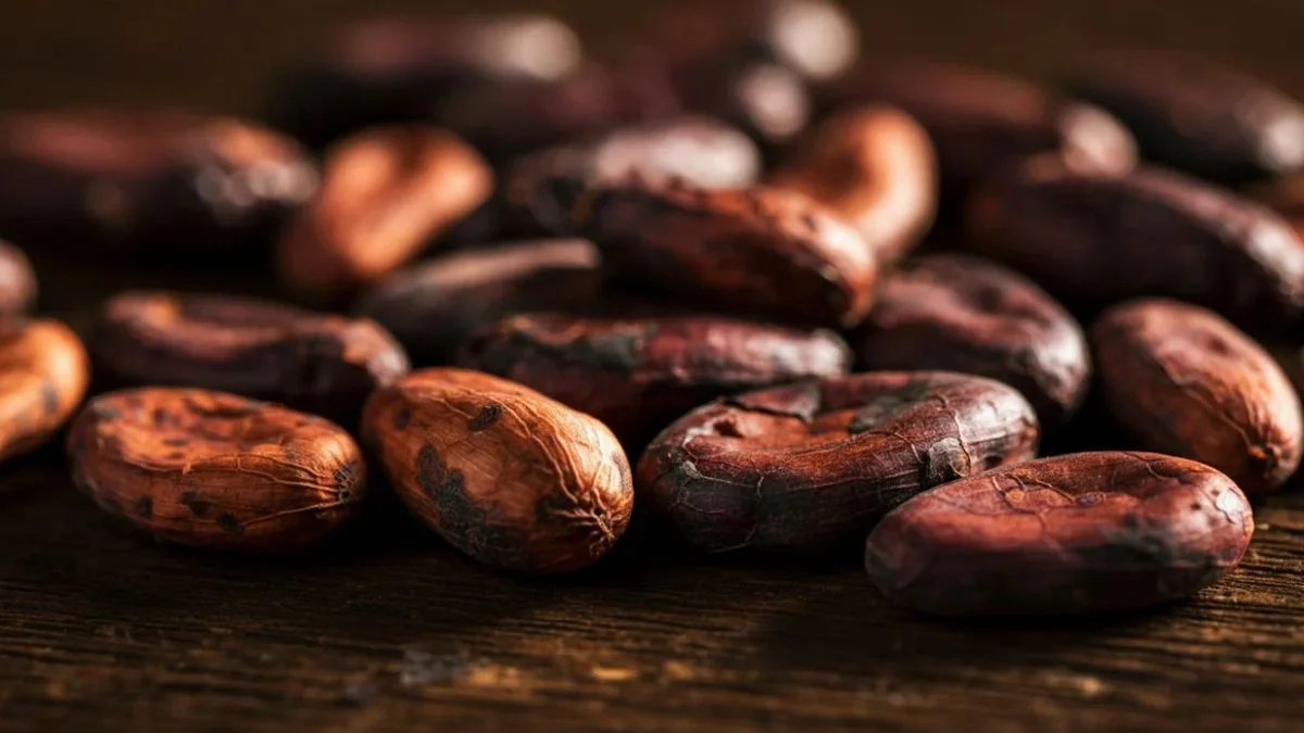 Agriculture commodities price today, May 7: Cocoa surges 34.23% monthly while Tea jumps 16.39%