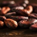 Agriculture commodities price today, May 13: Cocoa crashes 57.43% YoY while tea surges 16.39% in daily spike